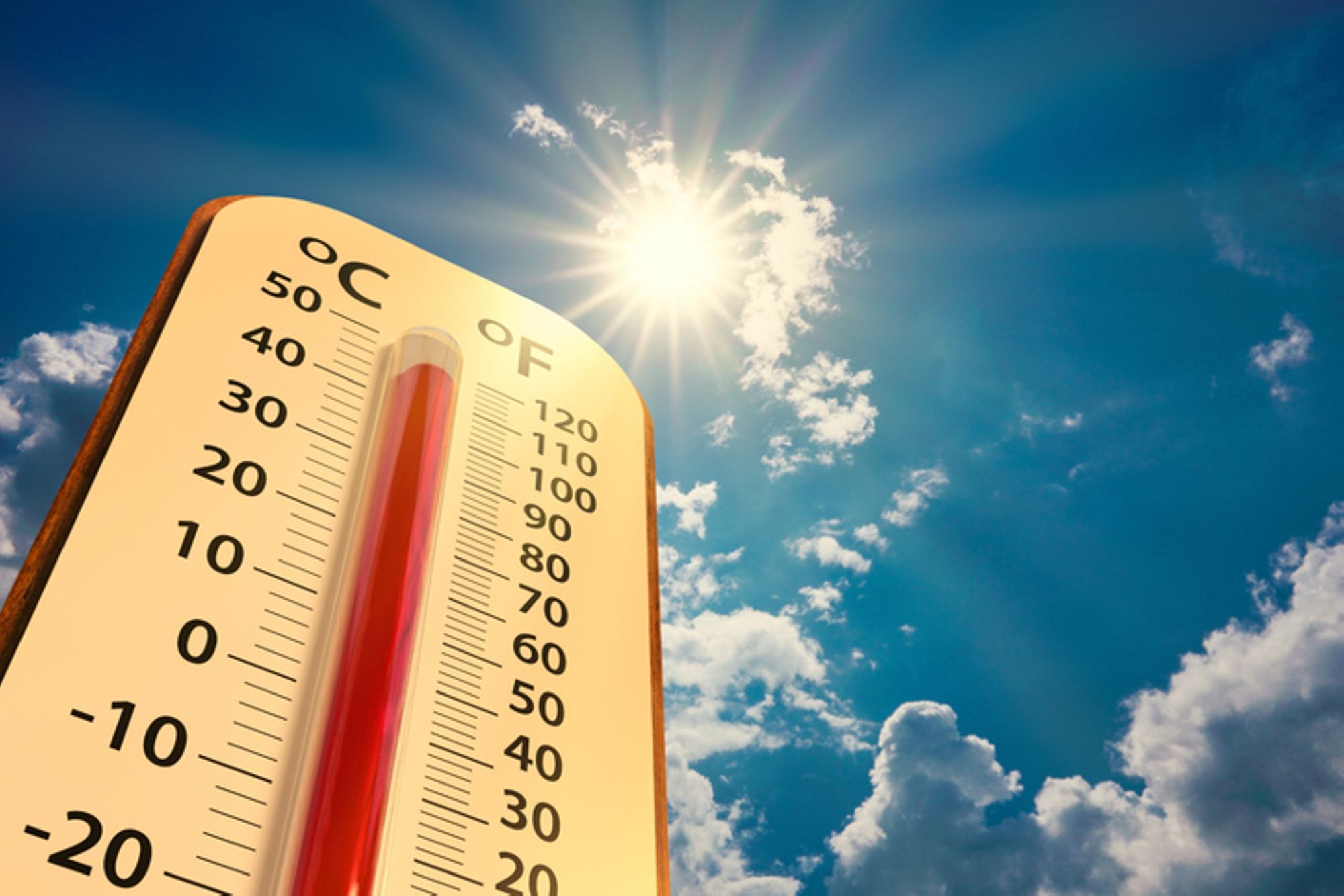 CANICULE ET TRAVAIL